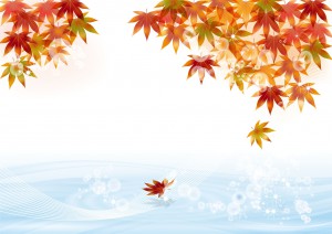 紅葉17
